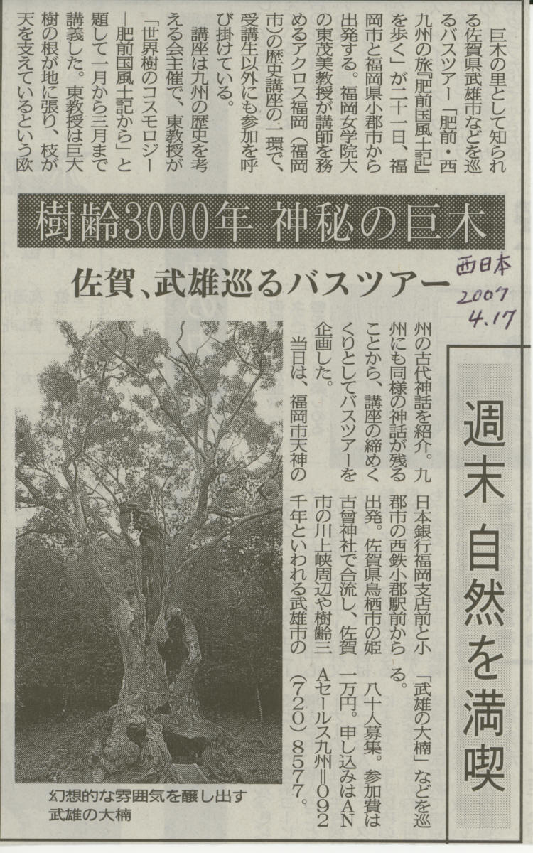 樹齢３０００年　神秘の巨木_d0047811_182038.jpg