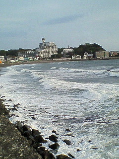 d0065116_2243768.jpg