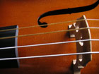 a0068424_914278.jpg