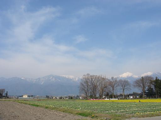 a0014840_21232577.jpg