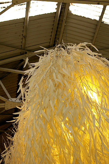 c0073742_21483319.jpg