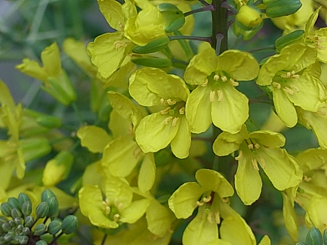 f0040342_19323446.jpg