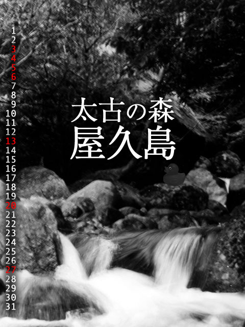 待受画像作品5月分_c0060143_043557.jpg