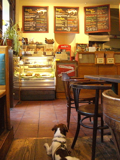 f0077150_2262116.gif