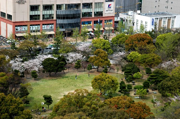 　　花のある風景_b0093754_153380.jpg