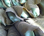 a0055362_2245089.jpg