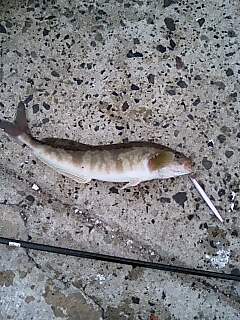 f0037063_21371012.jpg
