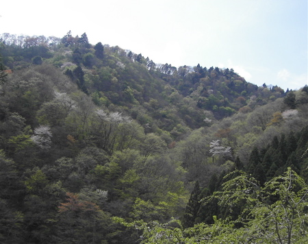 a0061977_18121489.jpg