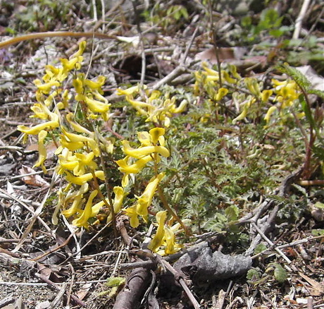 a0061977_18132920.jpg