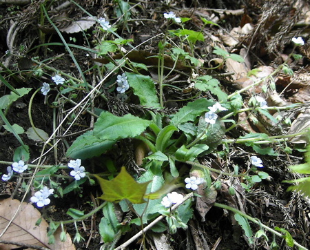 a0061977_2154327.jpg