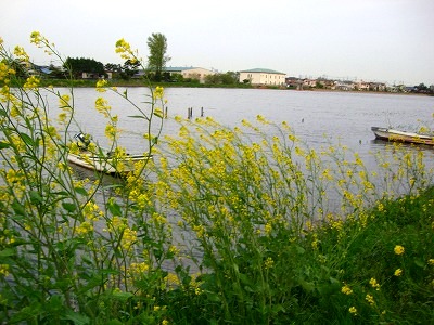 c0078480_22323372.jpg