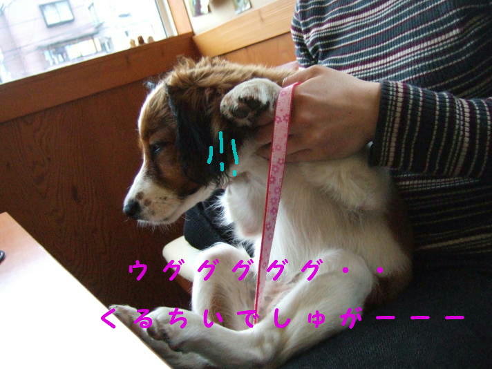 c0075585_137191.jpg