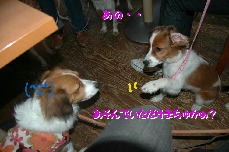 c0075585_2291233.jpg