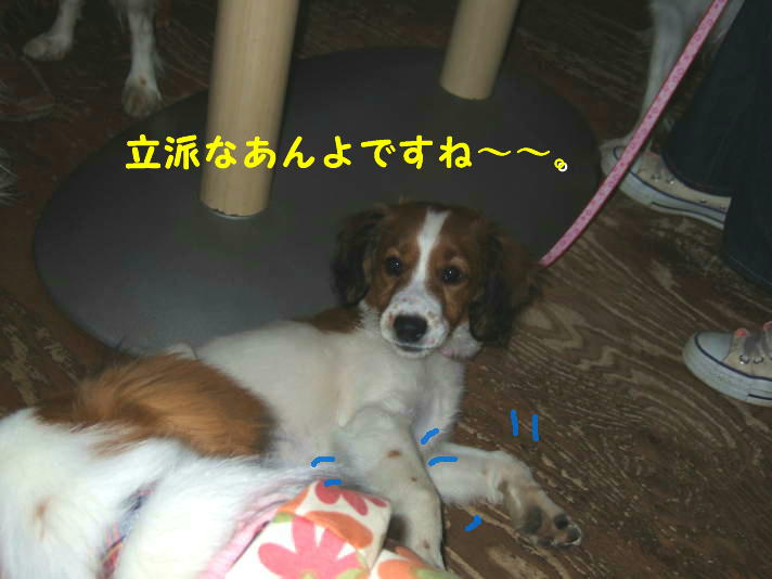 c0075585_231740.jpg