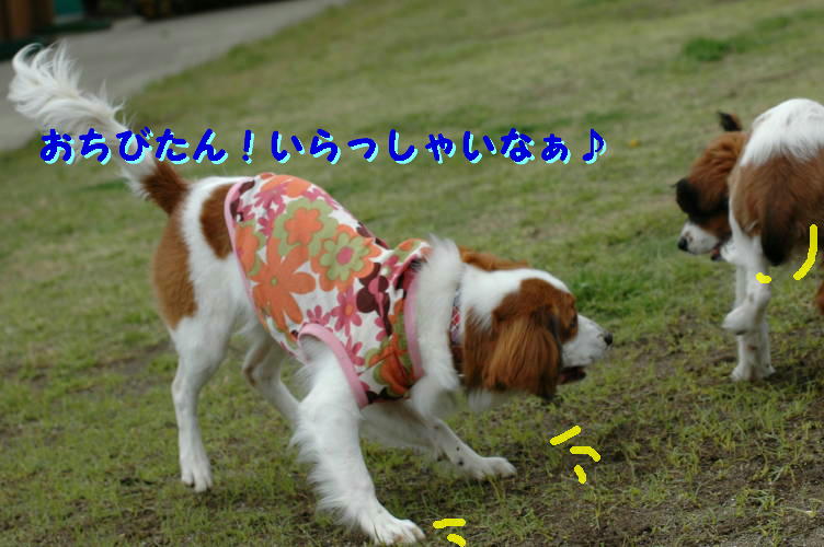 c0075585_271844.jpg