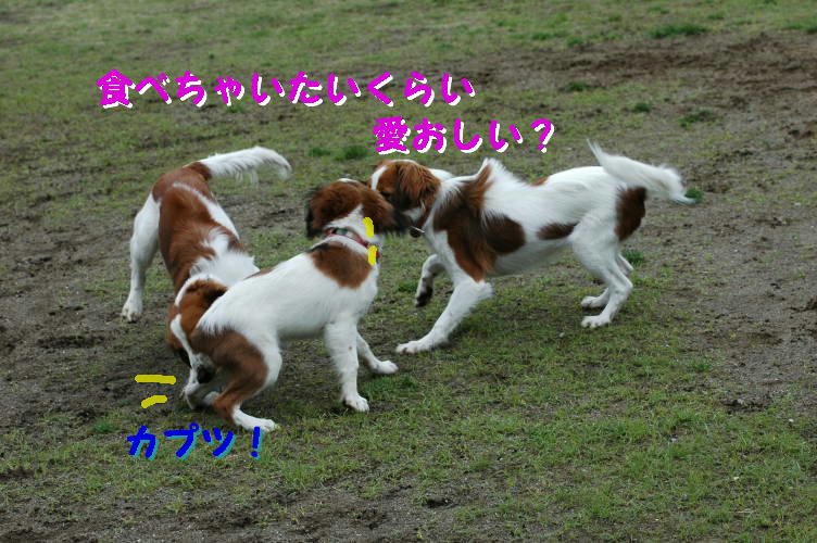 c0075585_28568.jpg