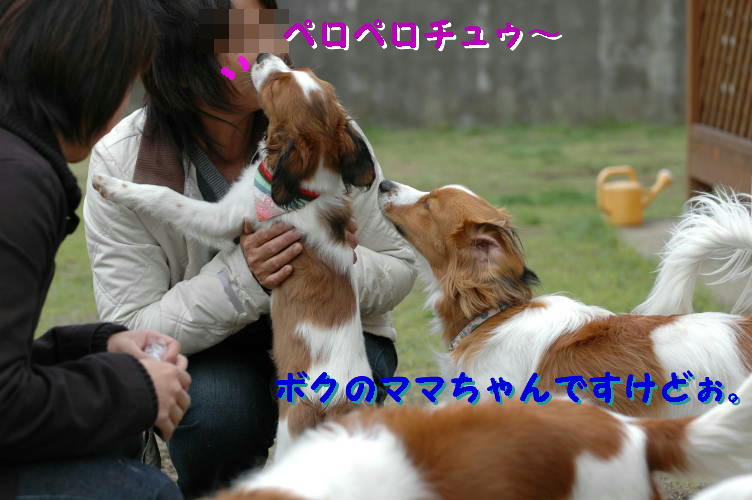 c0075585_295999.jpg