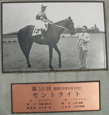 東京競馬場グランドオープン！_b0015386_2155362.jpg