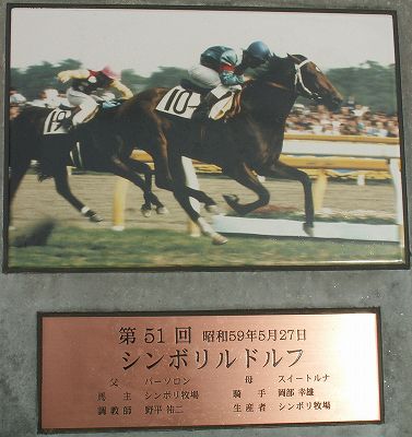 東京競馬場グランドオープン！_b0015386_21575096.jpg