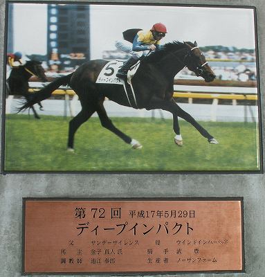 東京競馬場グランドオープン！_b0015386_2158183.jpg