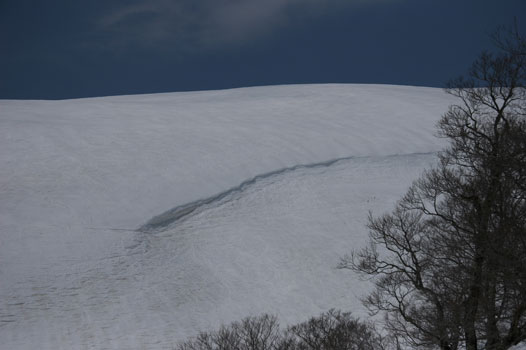 月山ツアー_a0099788_17511785.jpg