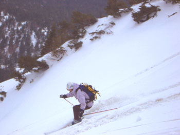 e0083204_177535.jpg