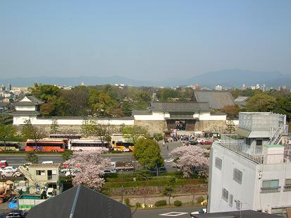 ～春の京都～（二条城編）　＝4/11（水）＝_d0036611_98201.jpg