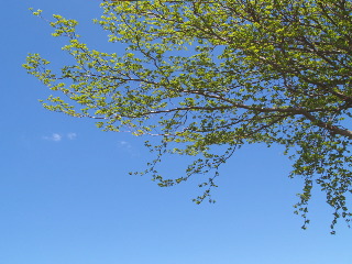 e0112213_59579.jpg