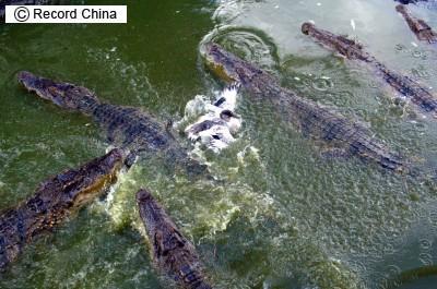 中国 小2男児 ワニの群れに襲われ食べられる vivaafroブログ 中国 小2男児 ワニの群れに襲われ食べられる vivaafroブログ