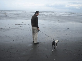 e0080117_2250453.gif