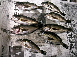e0072023_23442663.jpg