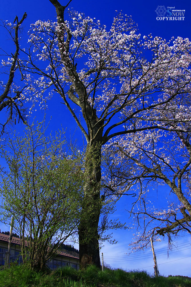 兵庫県　香美町　リベンジ　5_f0005935_025660.jpg