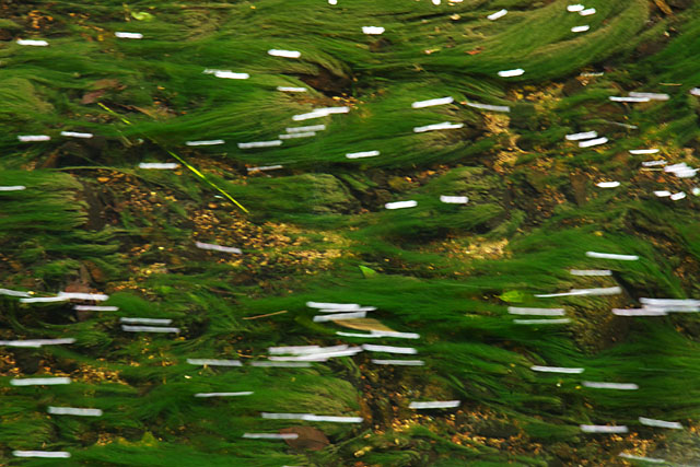 c0067040_19332387.jpg