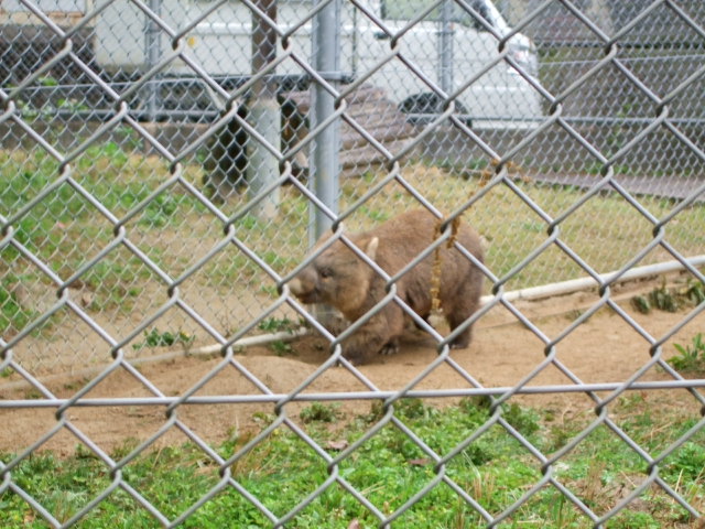 第１５回街歩き探検隊 ― 池田市 ―_b0060646_23184099.jpg