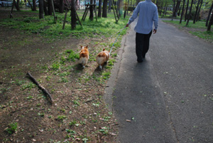 今日はほんとうは・・・_b0090947_20132112.jpg