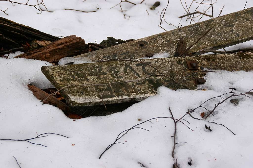 c0008948_22574415.jpg