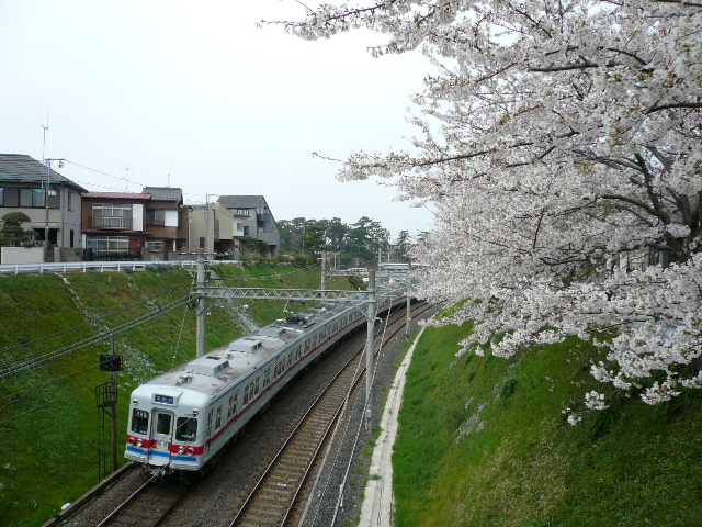 c0110550_2337090.jpg