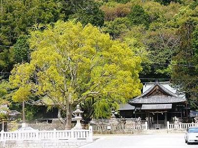 丹生山の麓、山田の里の文化財を訪ねて(5)六條八幡宮_b0063958_642213.jpg