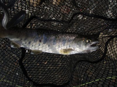 f0073059_22592519.jpg