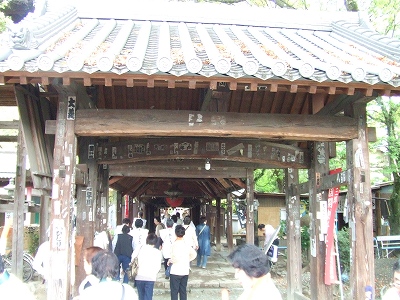 d0091279_23491435.jpg