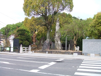 d0091279_235682.jpg