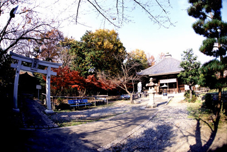 洛西観音霊場＜第6番　大慈山　乙訓寺＞_a0045381_6191478.jpg