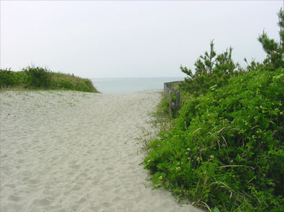 e0049286_16161812.jpg