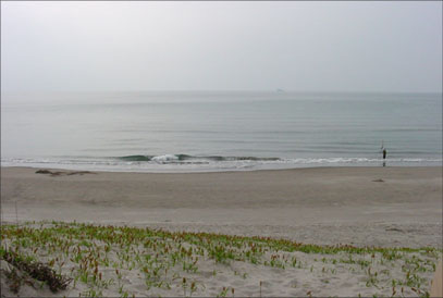 e0049286_16163497.jpg
