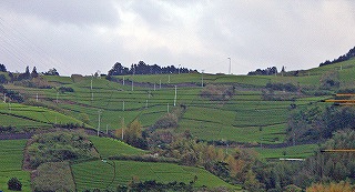 a0087818_2132339.jpg