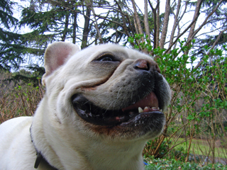 a0006321_03450.jpg