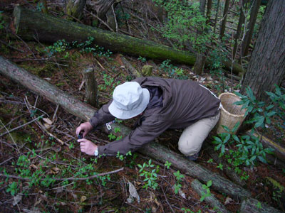 f0055024_2104057.jpg