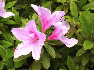 f0028928_2231279.jpg