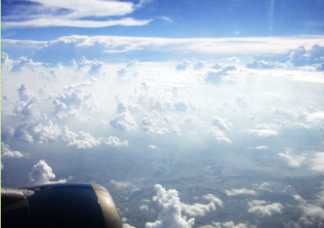 d0055635_1423138.jpg