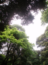 ＊地球を愛し、感じる心_a0030038_921452.jpg